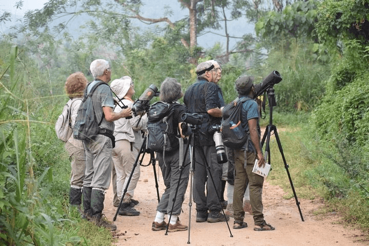 Birdwatching group on a dawn walking trail near Kithulgala