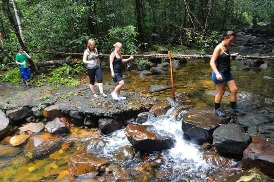 Hikers crossing a forest stream during a camping trek, Makandawa forest